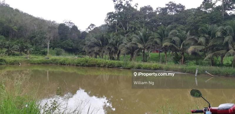 Tanah Pertanian untuk Dijual di Taman Jelebu, Kuala Klawang oleh William Ng - iProperty.com.my