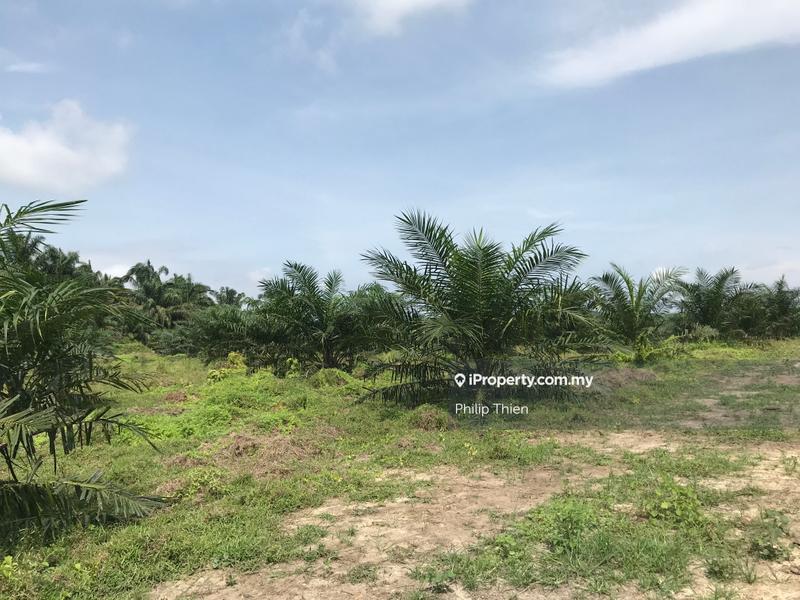Agricultural Land for Sale in Kuala Selangor, Selangor by Philip Thien - iProperty.com.my