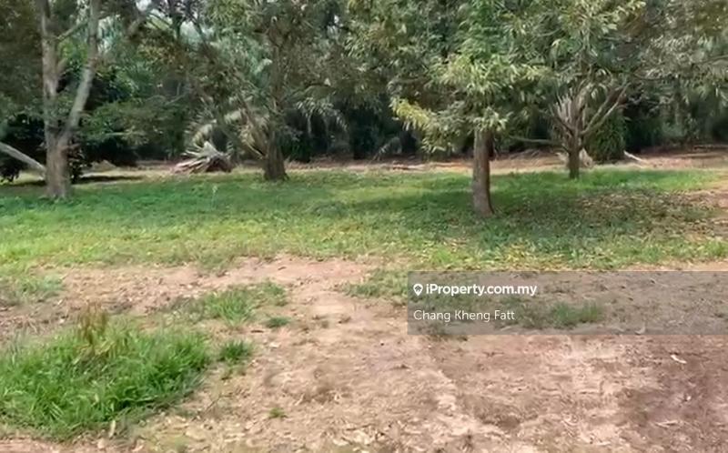 Tanah Pertanian untuk Dijual di Tanjung Sepat, Tanjong Sepat oleh Chang Kheng Fatt - iProperty.com.my