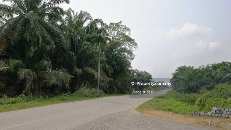 Tanah Pertanian untuk Dijual di Bukit Changgang, Banting oleh Vincent Tee - iProperty.com.my