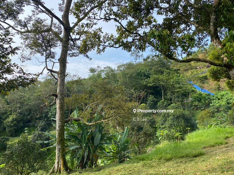 Residential Land for Sale in Broga, Lenggeng by C.B.Lee - iProperty.com.my