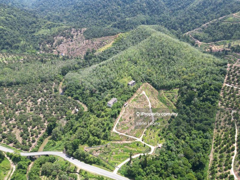 Tanah Pertanian untuk Dijual di Bandar Tras, Raub oleh Irene Leong - Exterior - iProperty.com.my