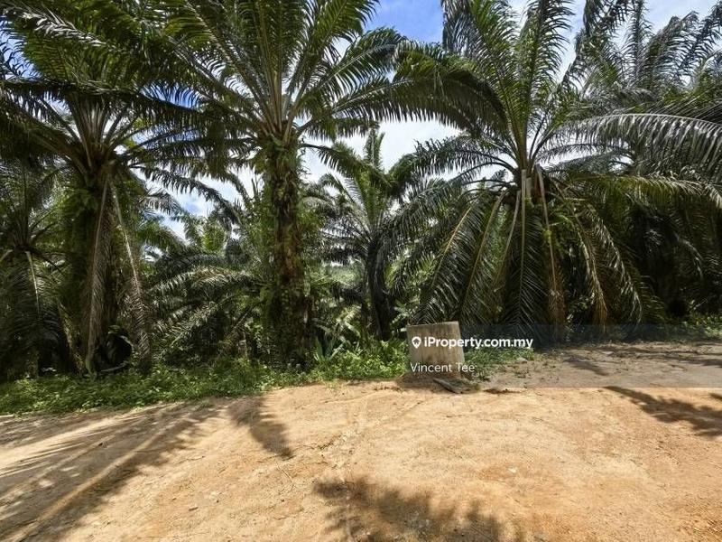 Tanah Pertanian untuk Dijual di Taman Jelebu, Kuala Klawang oleh Vincent Tee - iProperty.com.my
