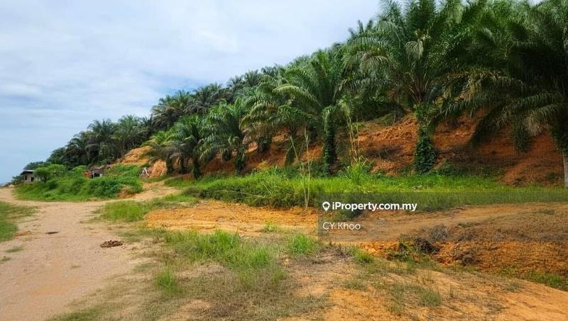 Tanah Pertanian untuk Dijual di Kelantan Gua Musang Limau Kasturi Sungai Galas, Limau Kasturi oleh CY Khoo - iProperty.com.my