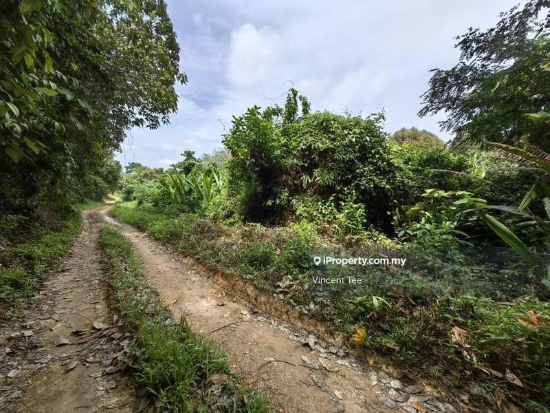 Agricultural Land for Sale in Bandar Lipis, Kuala Lipis by Vincent Tee - iProperty.com.my