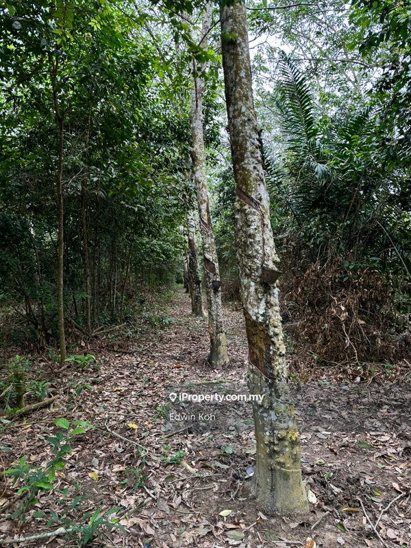 Agricultural Land for Sale in Taman Bemban Utama, Bemban by Edwin Koh - iProperty.com.my