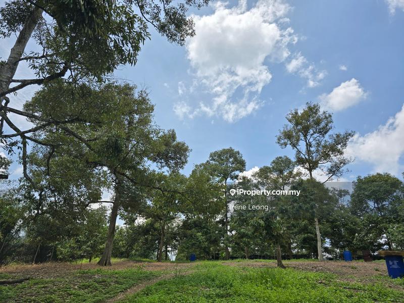 Agricultural Land for Sale in Karak, Pahang by Irene Leong - iProperty.com.my