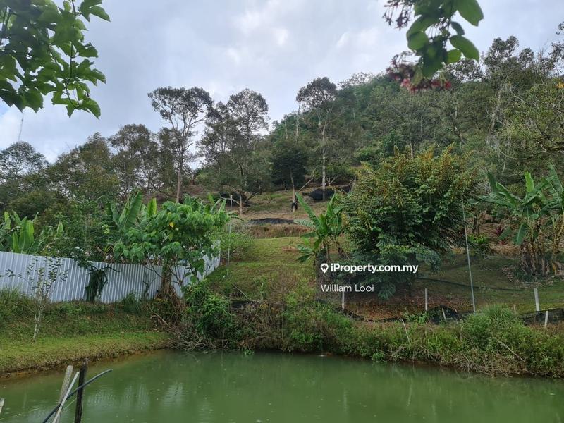 Agricultural Land for Sale in Kampung Tras, Raub by William Looi - iProperty.com.my