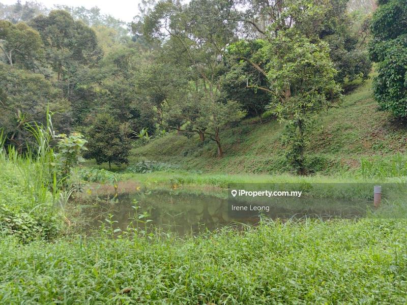 Agricultural Land for Sale in Karak, Pahang by Irene Leong - iProperty.com.my