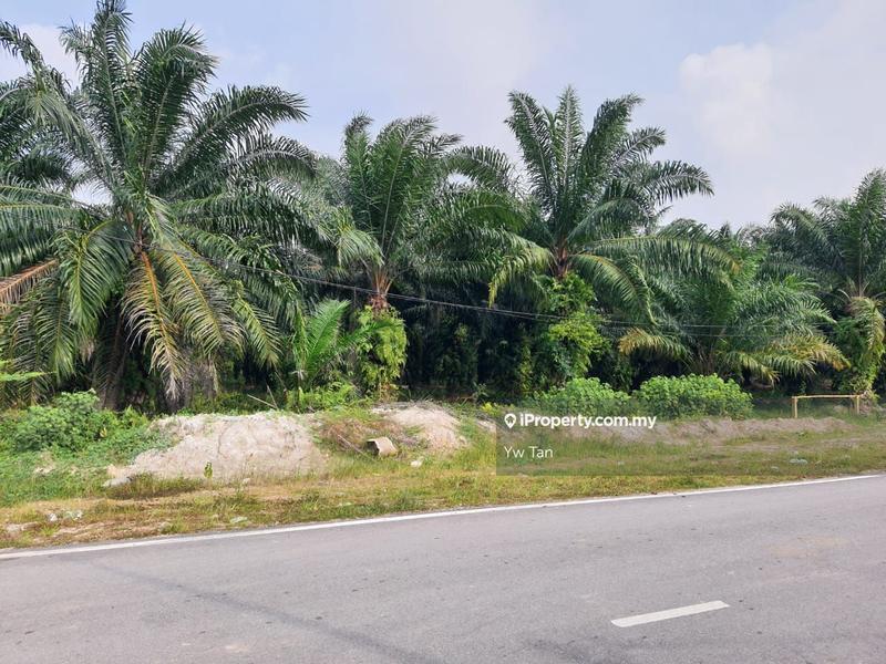 Agricultural Land for Sale in Kota Warisan, Sepang by Yw Tan - iProperty.com.my