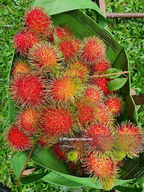 Banglo untuk Dijual di Kota Damansara, Selangor oleh U Cheong - iProperty.com.my