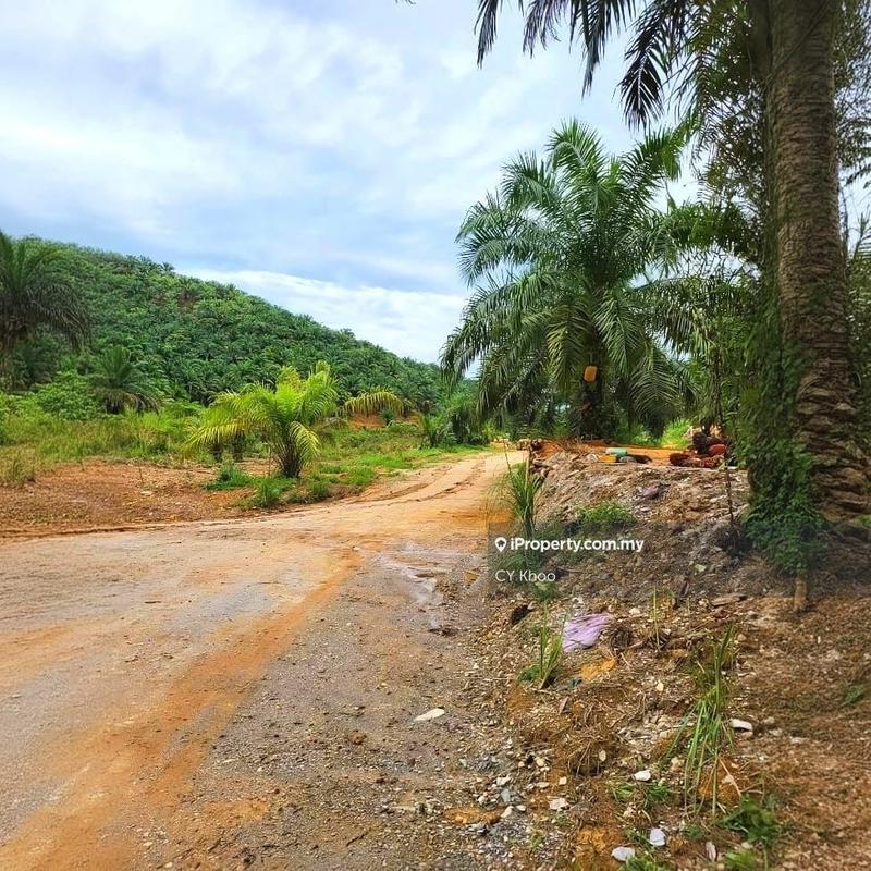 For Sale - Kelantan Gua Musang Limau Kasturi 1051 acres Palm Oil Land for SALE