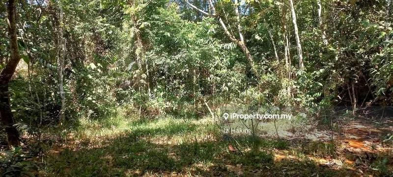 Agricultural Land for Sale in Rasa, Selangor by Iz Hakim - iProperty.com.my