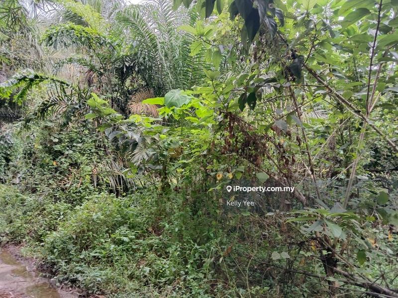 Agricultural Land for Sale in Sungai Lembu, Bukit Mertajam by Kelly Yee - iProperty.com.my