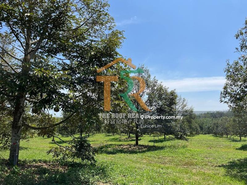 Tanah Pertanian untuk Dijual di Jasin, Jasin oleh Eunice Lim - iProperty.com.my