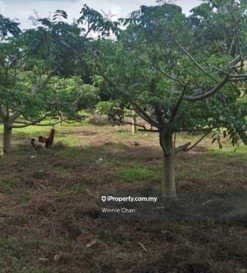 Agricultural Land for Sale in Tapah Perak 550 Acres Freehold Agriculture Land, Tapah by Winnie Chan - iProperty.com.my