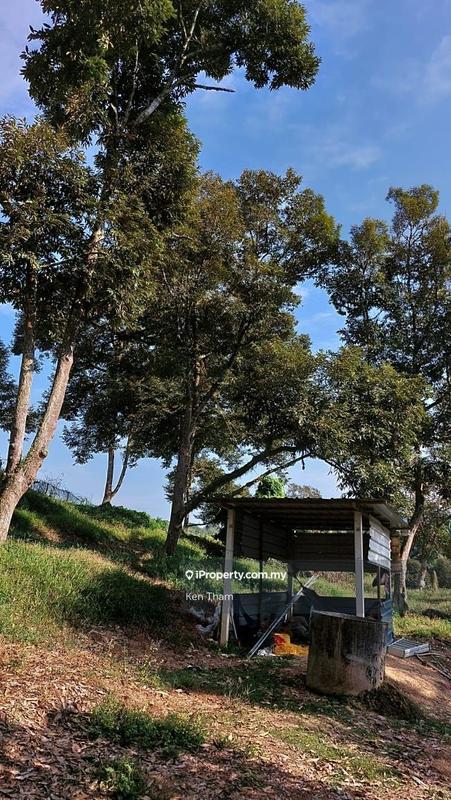 Agricultural Land for Sale in Taman Jelebu, Kuala Klawang by Ken Tham - iProperty.com.my