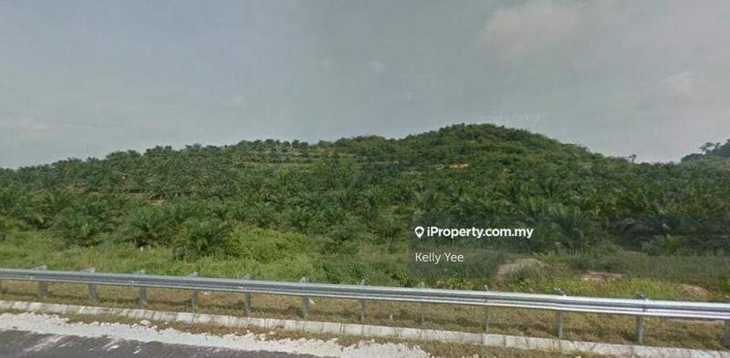Agricultural Land for Sale in Mukim Batu Yon, Kuala Lipis by Kelly Yee - iProperty.com.my