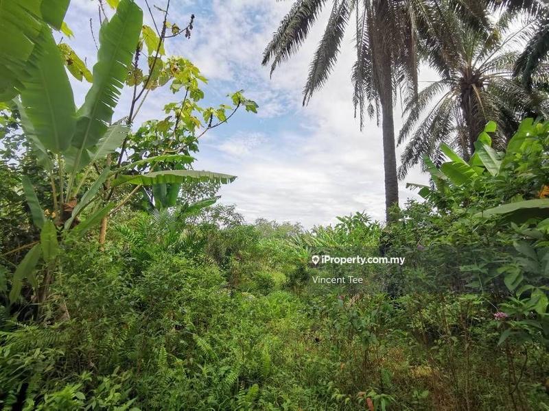 Tanah Kediaman untuk Dijual di Bidor, Perak oleh Vincent Tee - iProperty.com.my