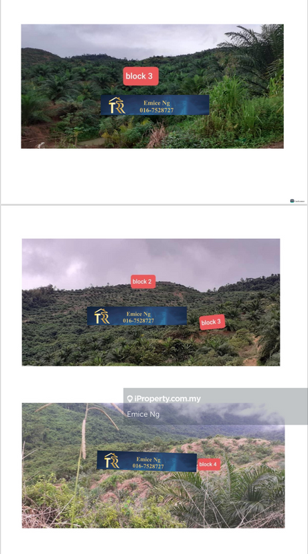Agricultural Land for Sale in Ranau, Sabah by Emice Ng - iProperty.com.my