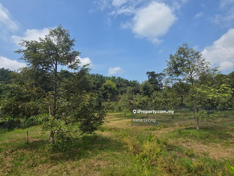 For Sale - 1 ac Bentong Kg Asap Durian Land For Sale