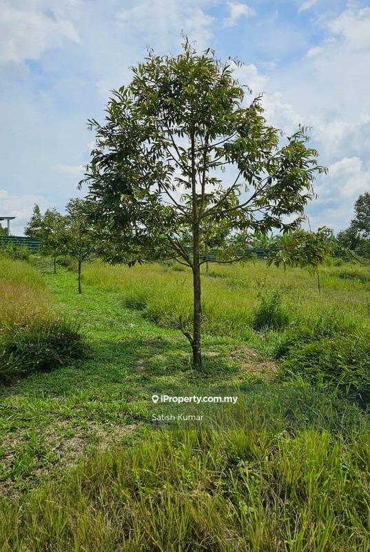 Tanah Pertanian untuk Dijual di Karak, Bentong oleh Satish Kumar - iProperty.com.my