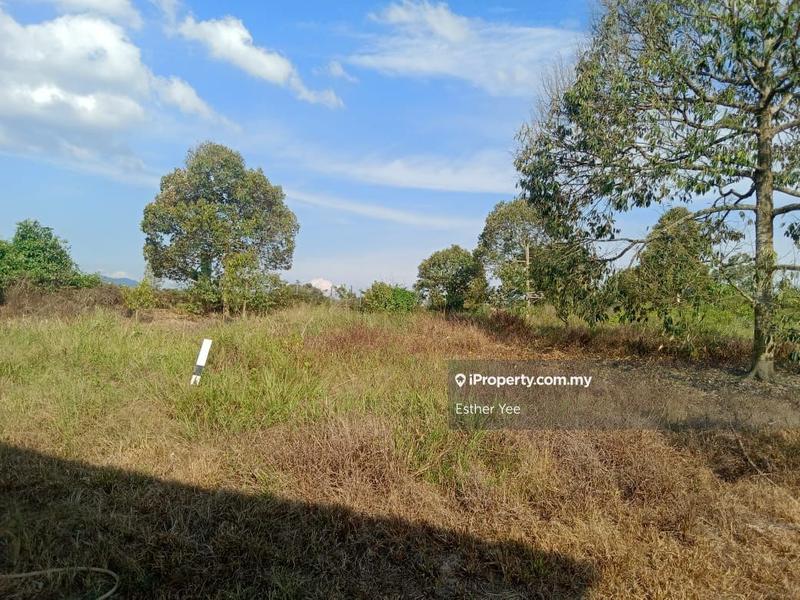 Tanah Pertanian untuk Dijual di Taman Jelebu, Kuala Klawang oleh Esther Yee - iProperty.com.my