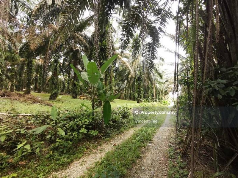Tanah Kediaman untuk Dijual di Bidor, Perak oleh Vincent Tee - iProperty.com.my