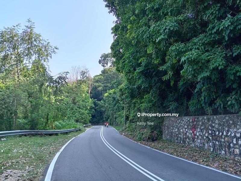 Agricultural Land for Sale in Teluk Tempoyak, Batu Maung by Kelly Yee - iProperty.com.my