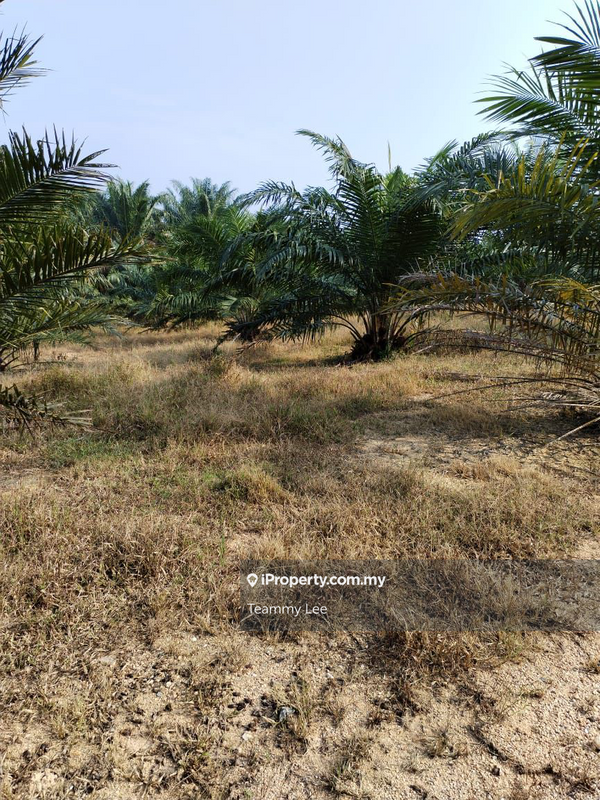Tanah Pertanian untuk Dijual di Bandar Sungai Siput, Sungai Siput oleh Teammy Lee - iProperty.com.my