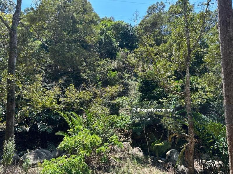 Tanah Pertanian untuk Dijual di Bentong Sang Lee ,Raub, Raub oleh Grace Tan - iProperty.com.my