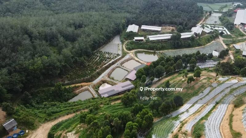 Agricultural Land for Sale in Kampung Legong Jaya, Gadong by Kelly Yee - iProperty.com.my