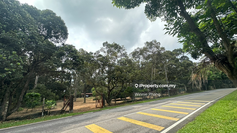 Agricultural Land for Sale in Road Side Bukit Lintang Ayer Molek Jasin, Ayer Molek by Winnie Phang - iProperty.com.my