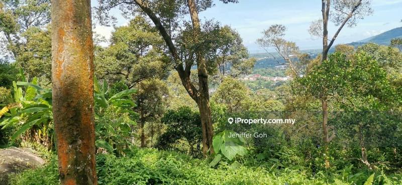 For Sale - Balik Pulau Agriculture land for sales