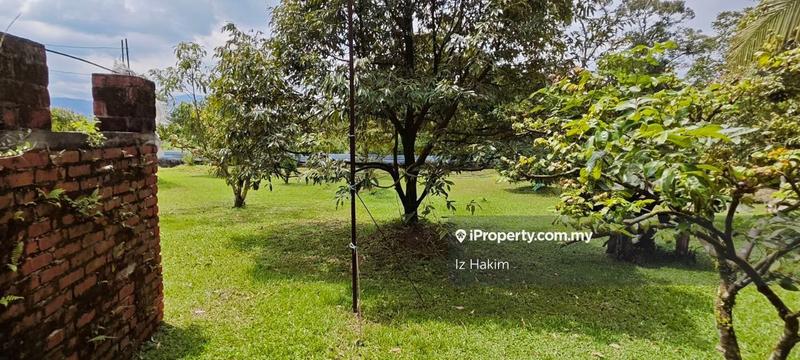 Agricultural Land for Sale in Batang Kali, Selangor by Iz Hakim - iProperty.com.my