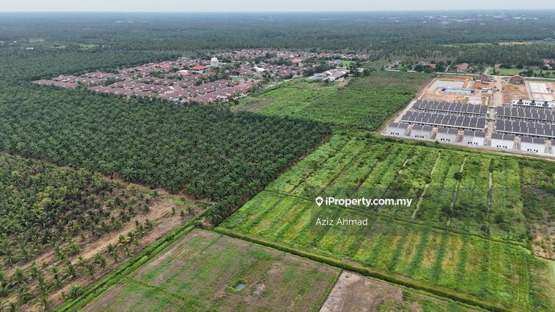 Agricultural Land for Sale in 3ayxd, Sabak Bernam by Aziz Ahmad - iProperty.com.my