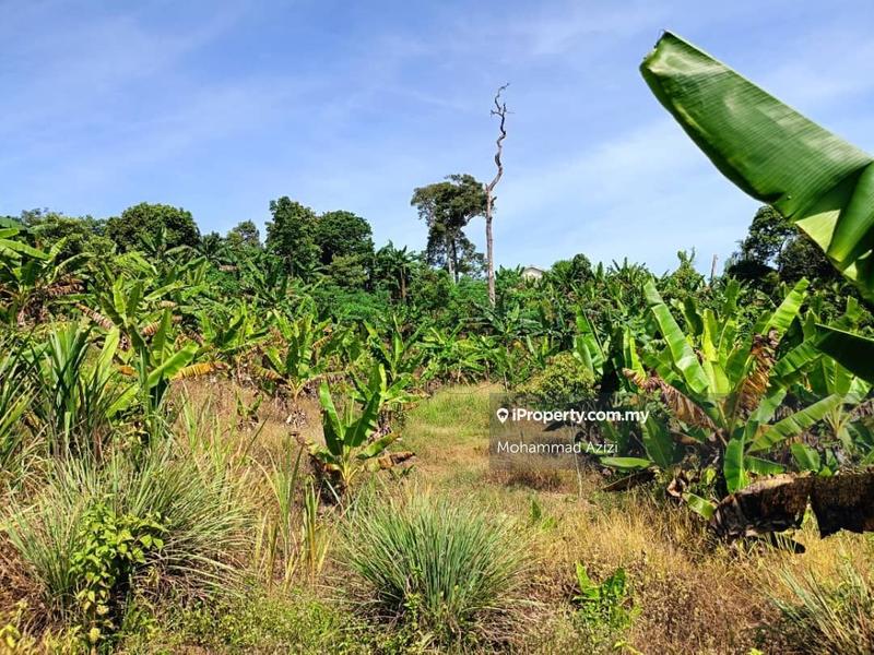 Agricultural Land for Sale in Balok, Sungai Karang by Mohammad Azizi - iProperty.com.my
