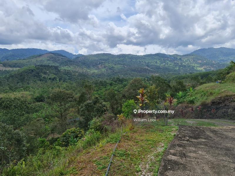 Agricultural Land for Sale in Kampung Tras, Raub by William Looi - iProperty.com.my