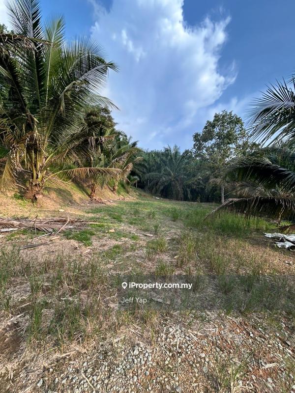 Agricultural Land for Sale in Taman Mawai Jaya, Kota Tinggi by Jeff Yap - iProperty.com.my