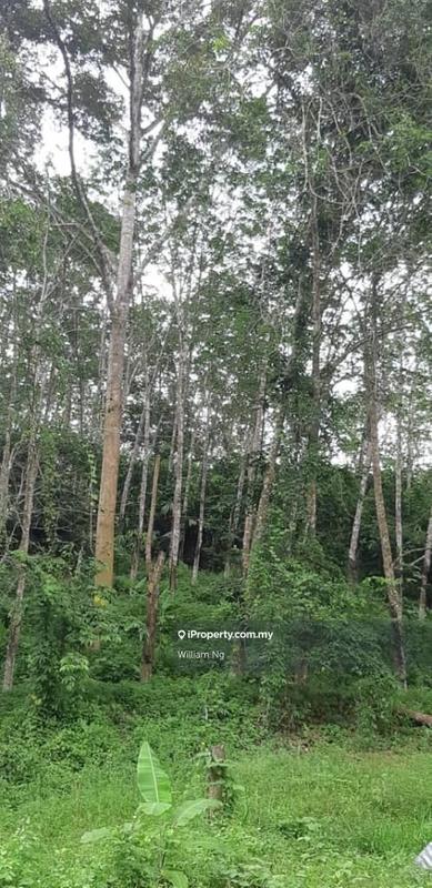 Tanah Pertanian untuk Dijual di Taman Jelebu, Kuala Klawang oleh William Ng - iProperty.com.my