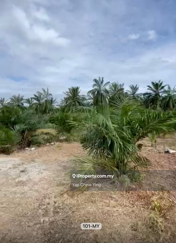 Agricultural Land for Sale in Banting, Banting by Yap Chew Ying - iProperty.com.my
