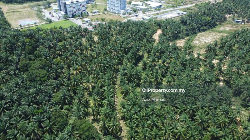 Agricultural Land for Sale in Rembau, Rembau by Aziz Ahmad - iProperty.com.my