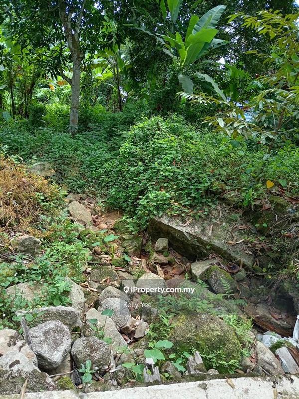 Tanah Pertanian untuk Dijual di Mengkuang Dam Orchard Farm for Sale, Bukit Mertajam oleh Kelly Yee - iProperty.com.my