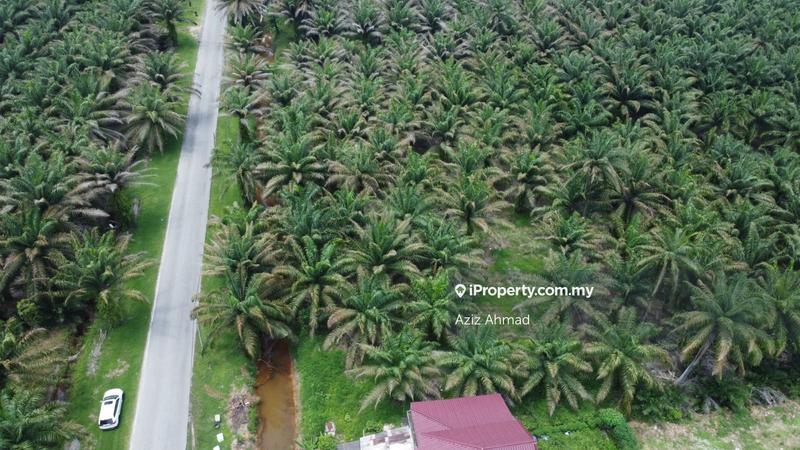 Tanah Pertanian untuk Dijual di Bukit Changgang, Banting oleh Aziz Ahmad - iProperty.com.my