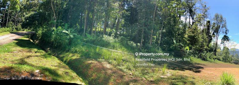 Residential Land for Sale in Janda Baik, Bentong by Jennifer Yap - A rare, almost flat plot with lots of trees. - iProperty.com.my