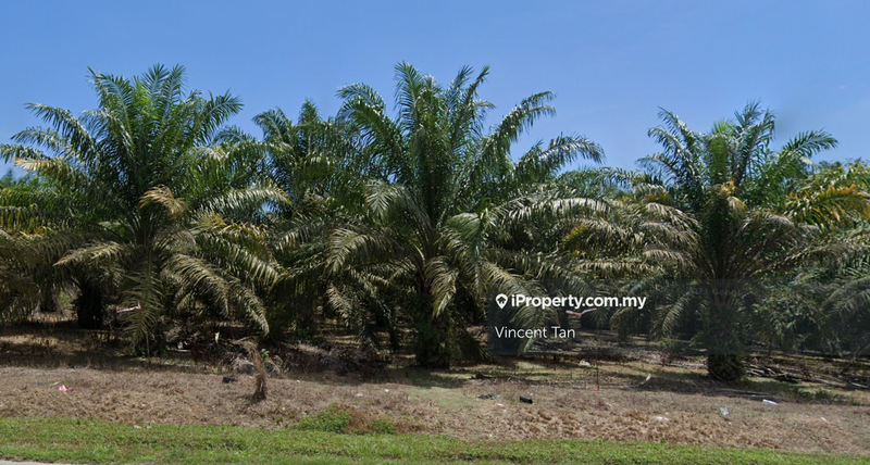 For Sale - Simpang Renggam Land