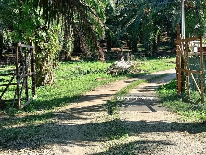 Tanah Pertanian untuk Dijual di Bukit Teh, Bukit Mertajam oleh Kelly Yee - iProperty.com.my