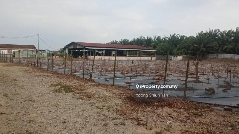 Agricultural Land for Sale in Parit Melana, Alor Gajah by Yoong Shiun Yan - iProperty.com.my