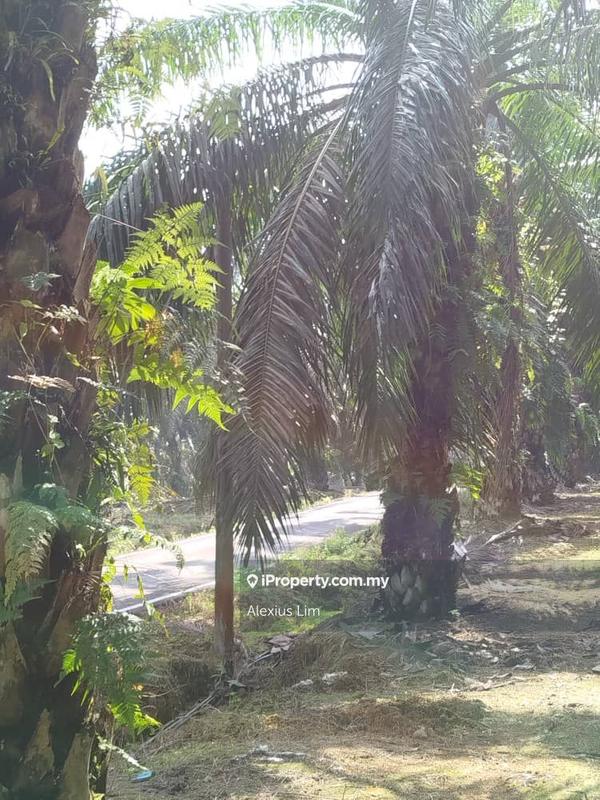 For Sale - 2pcs of 4 Acres Agricultural Land(Road Side) @ Desa Makmur, Mukim Kota Tinggi
