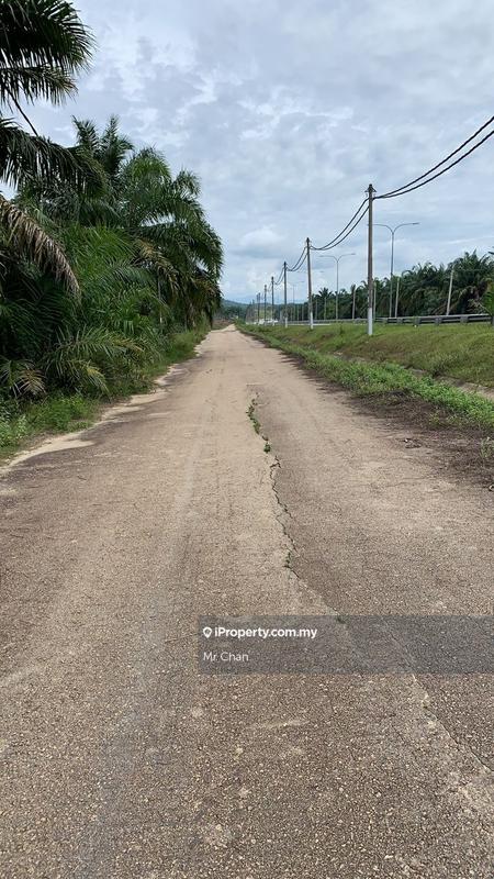 Agricultural Land for Sale in Kuala Selangor, Sungai Buloh. Bandar Tasik Puteri, Ijok by Mr Chan - iProperty.com.my